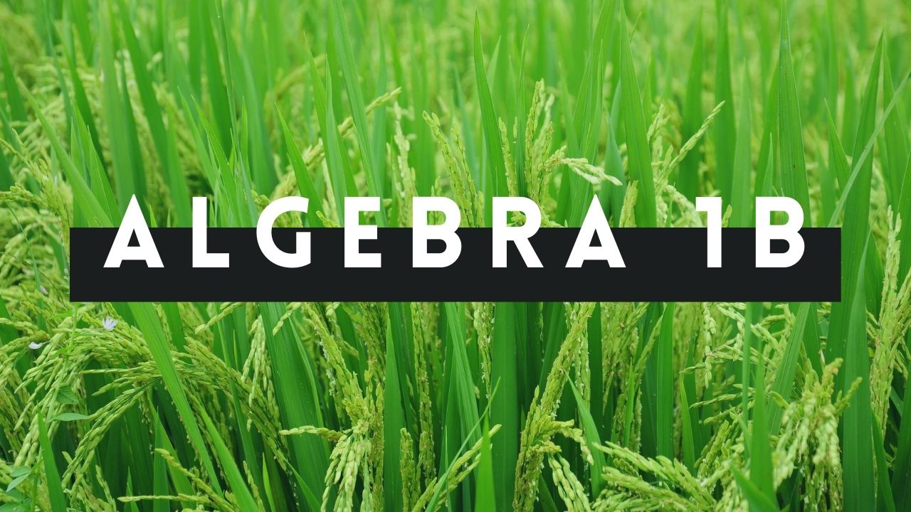 Algebra 1, Part 2 (Teacher-Led)