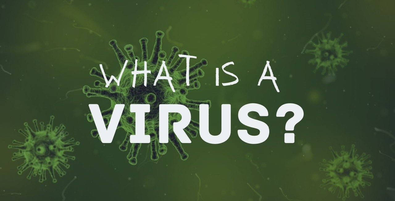 What is a Virus (Teacher-Led)